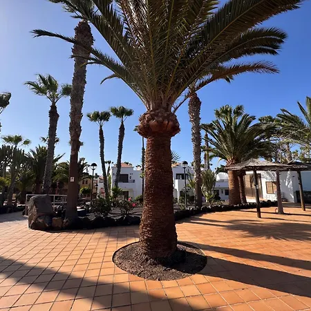 Oasis Jaylota Corralejo