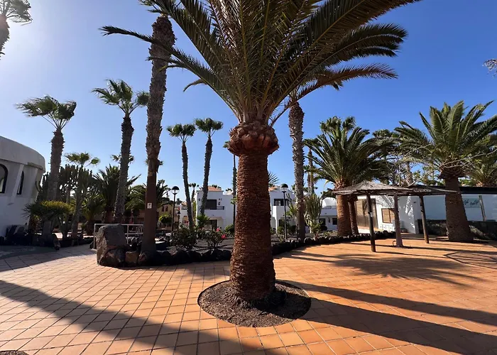 Oasis Jaylota Corralejo